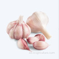 Garlic Farm Top Dientes de ajo frescos